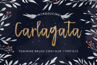 Carlagata Typeface Review: Brush Texture for Handmade Branding