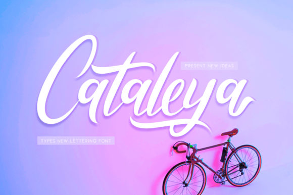 Cataleya Font Review: A Modern Script for Premium Designs