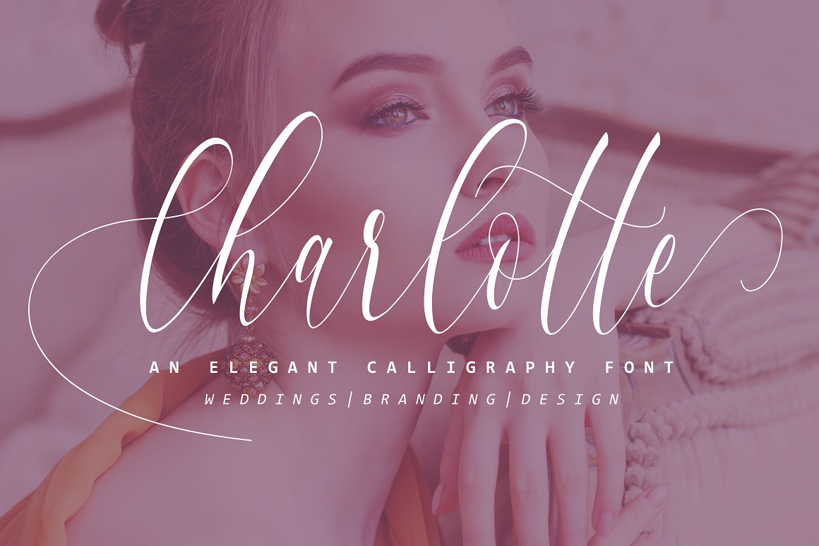 Charlotte Calligraphy: The Elegant Script Font for Modern Campaigns