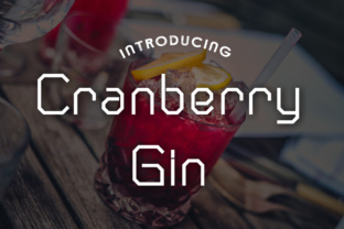 Cranberry Gin Typeface Review for Digital Campaigns