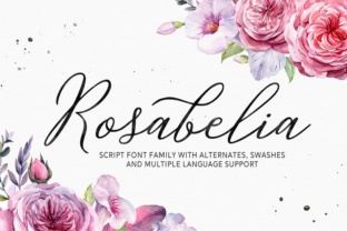 Rosabelia: The Modern Script Font for Elegant Brand Identity
