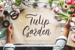 Tulip Garden Script Font Review
