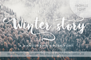 Winter Story: The Bouncy Script Font for Wintery Campaigns